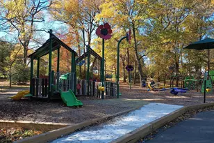 6709 41st Ave, Hyattsville, MD 20782 - Photo 37