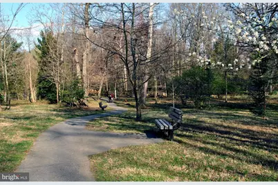 6709 41st Avenue, Hyattsville, MD 20782 - Photo 35