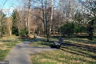 6709 41st Ave, Hyattsville, MD 20782 - Photo 35