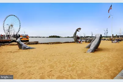 6908 Bitternut Court, Fort Washington, MD 20744 - Photo 41