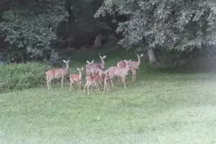 12404 Wallace Ln, Upper Marlboro, MD 20772 - Photo 5