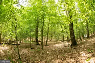 2720 Hidden Valley Rd, Accokeek, MD 20607 - Photo 33