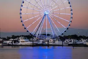 4101 Farmer Pl, Fort Washington, MD 20744 - Photo 41