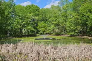 15708 Dorset Rd, Laurel, MD 20707 - Photo 13