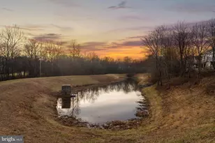 4223 Medallion Dr, Silver Spring, MD 20904 - Photo 7