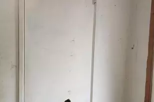 8120 Allendale Dr, Landover, MD 20785 - Photo 23