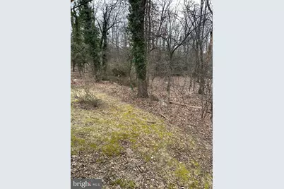 10006 Green Forest Drive, Hyattsville, MD 20783 - Photo 27