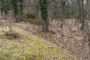 10006 Green Forest Dr, Hyattsville, MD 20783 - Photo 27