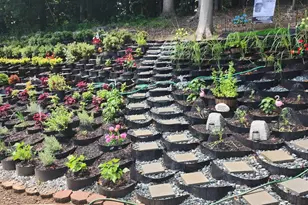 12014 Fairway Manor Ct, Upper Marlboro, MD 20772 - Photo 27