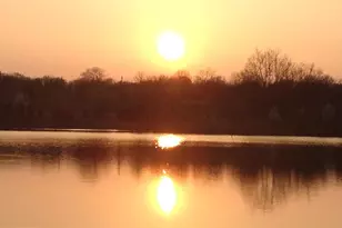 7613 Charlton Ave, Berwyn Heights, MD 20740 - Photo 19