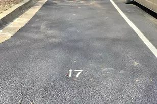 1033 Higgins Way, Hyattsville, MD 20782 - Photo 43