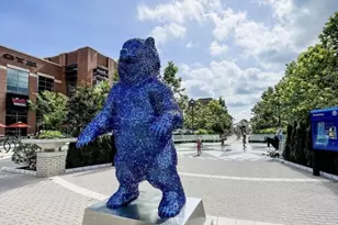 4316 East-West Hwy, University Park, MD 20782 - Photo 45