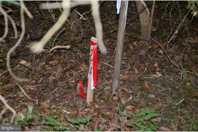 16106 Bealle Hill Road, Waldorf, MD 20601 - Photo 15