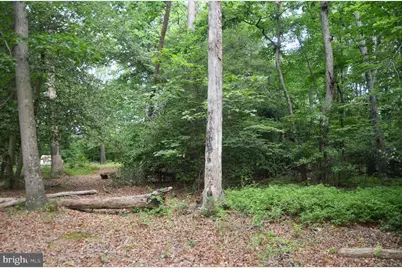 16106 Bealle Hill Road, Waldorf, MD 20601 - Photo 11