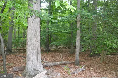 16106 Bealle Hill Road, Waldorf, MD 20601 - Photo 13