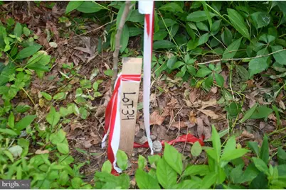 16106 Bealle Hill Road, Waldorf, MD 20601 - Photo 9