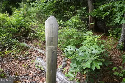 16106 Bealle Hill Road, Waldorf, MD 20601 - Photo 19