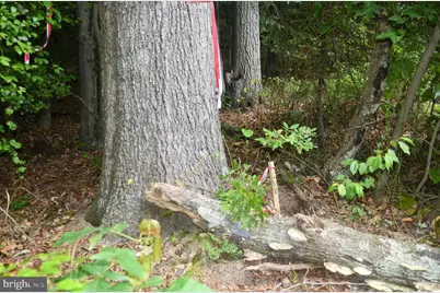 16106 Bealle Hill Road, Waldorf, MD 20601 - Photo 17