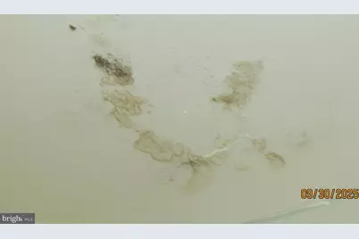 5112 Navahoe Street, College Park, MD 20740 - Photo 31