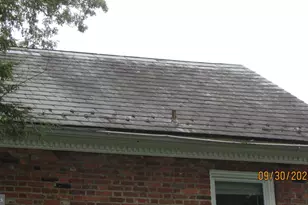 4501 Beechwood Rd, College Park, MD 20740 - Photo 5