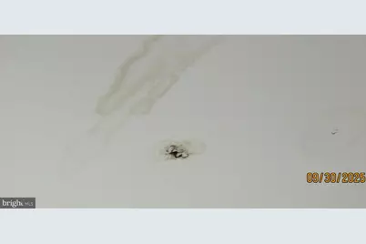 4501 Beechwood Road, College Park, MD 20740 - Photo 17