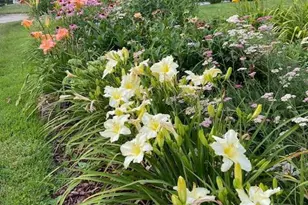 115 Lakeside Dr, Greenbelt, MD 20770 - Photo 79