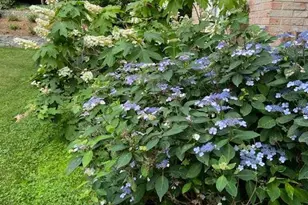 115 Lakeside Dr, Greenbelt, MD 20770 - Photo 81