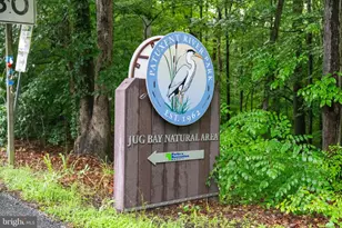 8901 Brookridge, Upper Marlboro, MD 20772 - Photo 133