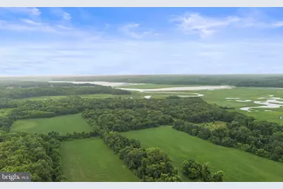 8901 Brookridge, Upper Marlboro, MD 20772 - Photo 125