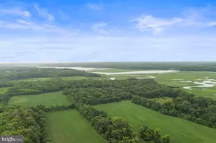 8901 Brookridge, Upper Marlboro, MD 20772 - Photo 125