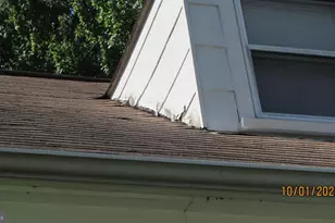 8504 49th Ave, College Park, MD 20740 - Photo 39