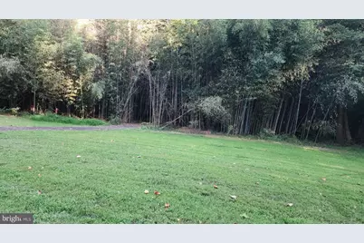 12411 Thompson Road, Bowie, MD 20720 - Photo 9