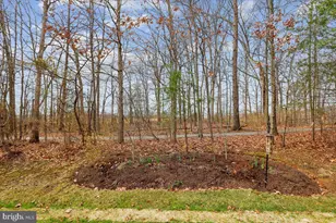 13122 Brooktree Ln, Laurel, MD 20707 - Photo 23