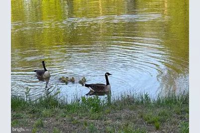 13122 Brooktree Lane, Laurel, MD 20707 - Photo 15