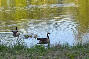 13122 Brooktree Ln, Laurel, MD 20707 - Photo 15