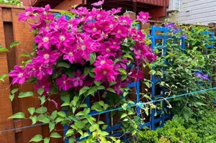 3404 Epic Gate, Bowie, MD 20716 - Photo 45