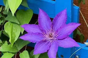 3404 Epic Gate, Bowie, MD 20716 - Photo 47