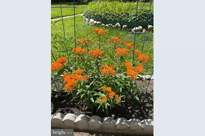 8 Southway, Greenbelt, MD 20770 - Photo 37