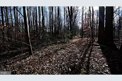 Richard Allen Street, Aquasco, MD 20608 - Photo 11