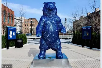 4933 38th Avenue, Hyattsville, MD 20782 - Photo 29