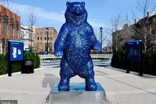 4933 38th Ave, Hyattsville, MD 20782 - Photo 29