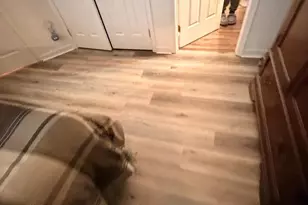 14401 Hampshire Hall Ct, Upper Marlboro, MD 20772 - Photo 9