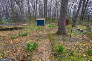 14 Laurel Hill Rd, Greenbelt, MD 20770 - Photo 37