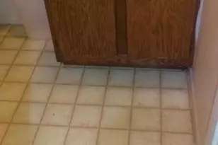 4809 Berwyn House Rd, College Park, MD 20740 - Photo 15