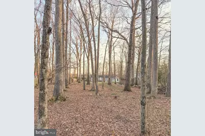 205 Biddle Road, Accokeek, MD 20607 - Photo 11