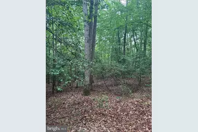 16661 Bald Eagle School Road, Brandywine, MD 20613 - Photo 5