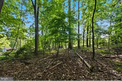 9310 Crandall Road, Lanham, MD 20706 - Photo 13