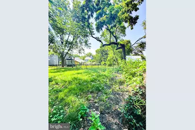 4105 30th Street, Mount Rainier, MD 20712 - Photo 61