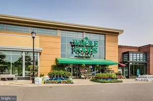 4021 Hamilton St, Hyattsville, MD 20781 - Photo 53