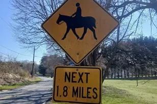 16601 Candy Hill Rd, Upper Marlboro, MD 20772 - Photo 47